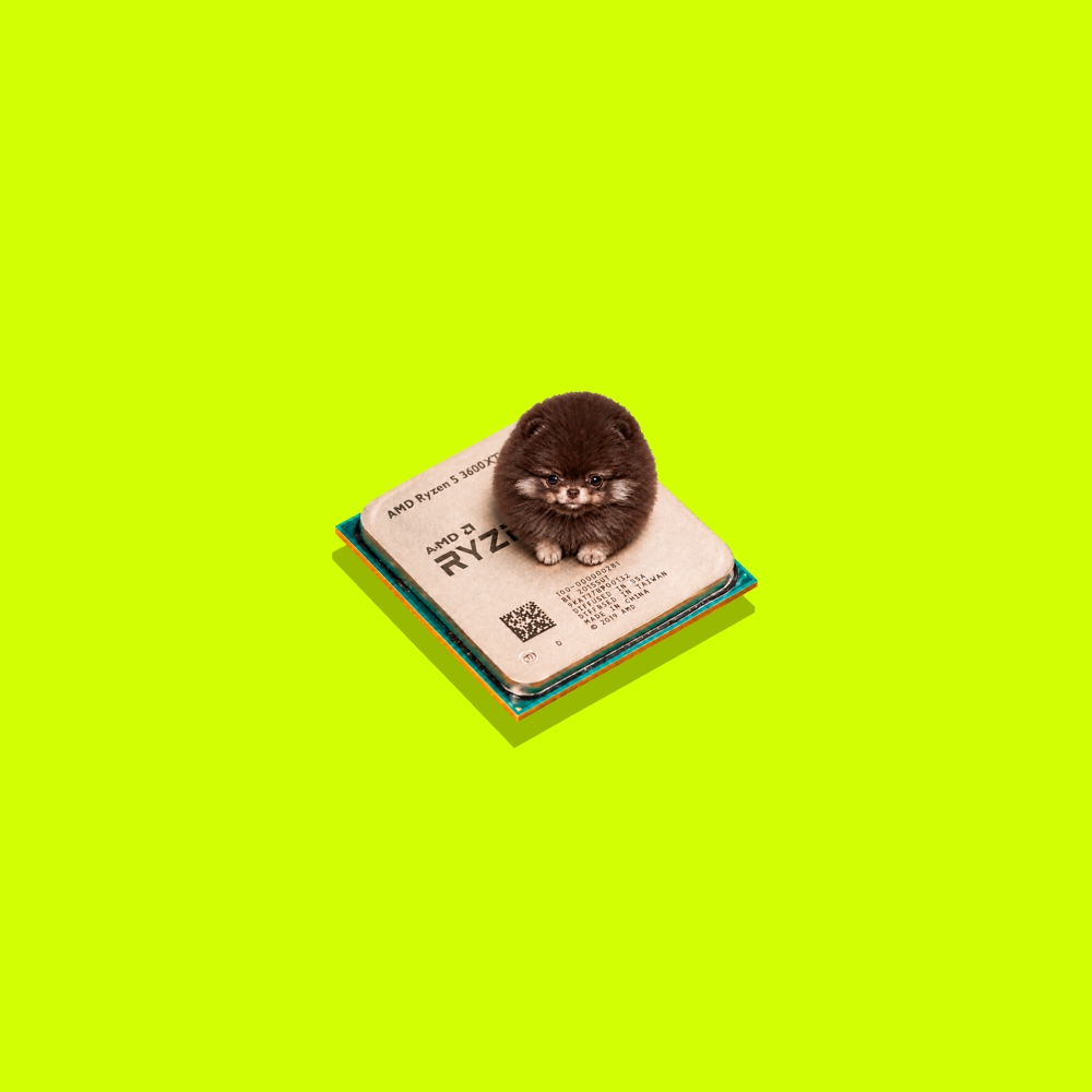 A tiny fluffy brown pomeranian sitting on top of an AMD Ryzen processor